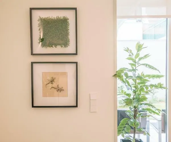 Courtyard & Elegance